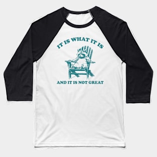 it is what it is and its not great Funny Raccoon Baseball T-Shirt